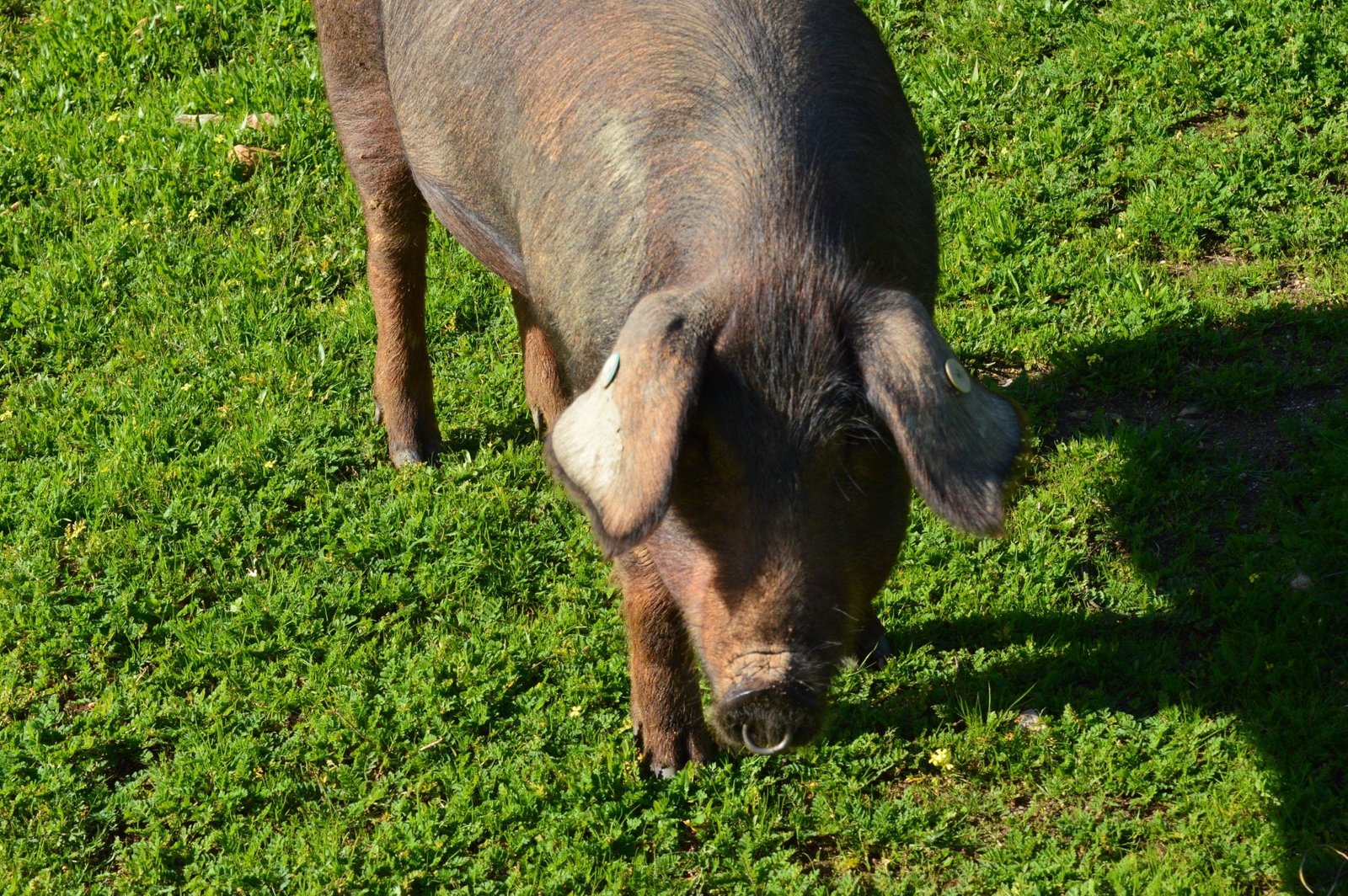 DSC_0140